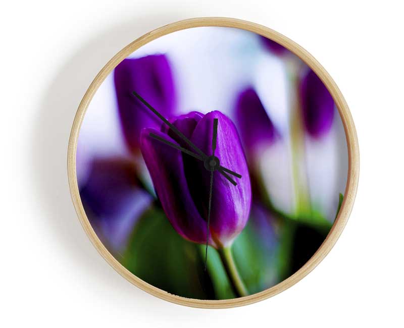 Purple Tulips Clock - Wallart-Direct UK