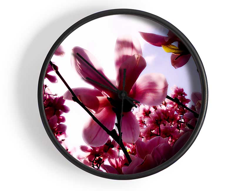 Pink Cherry Blossom In Sunlight Clock - Wallart-Direct UK