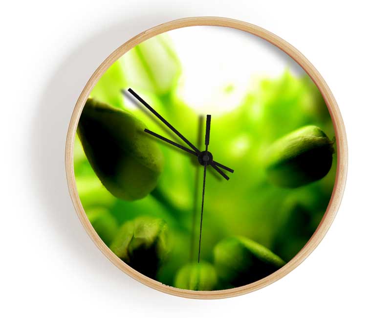 Green Buds In Sunlight Clock - Wallart-Direct UK