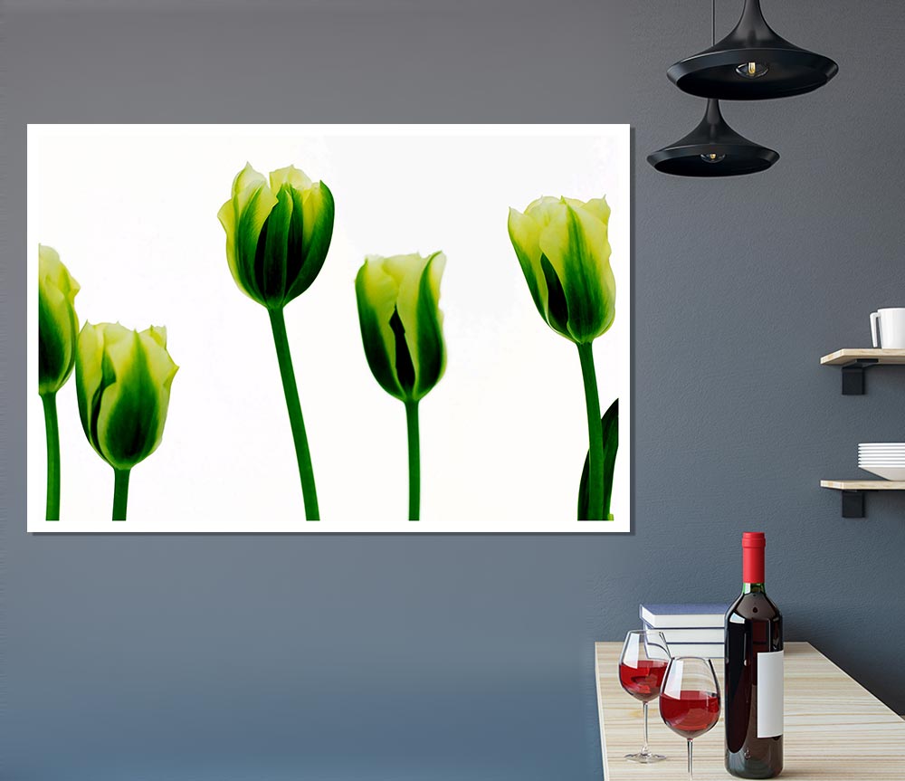 White Green Tulip Parade Print Poster Wall Art