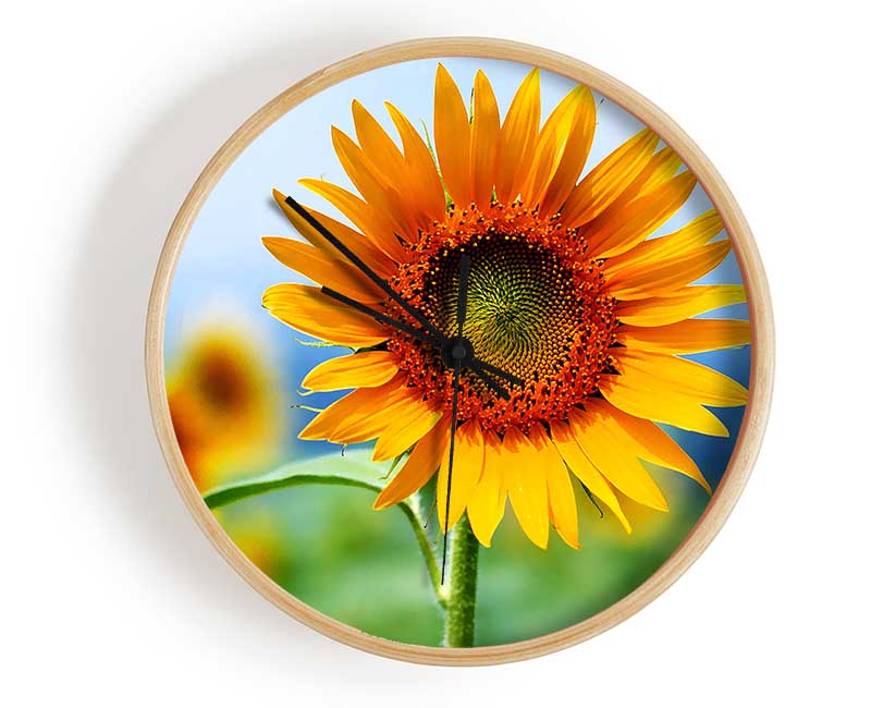 Morning Sunflower Clock - Wallart-Direct UK