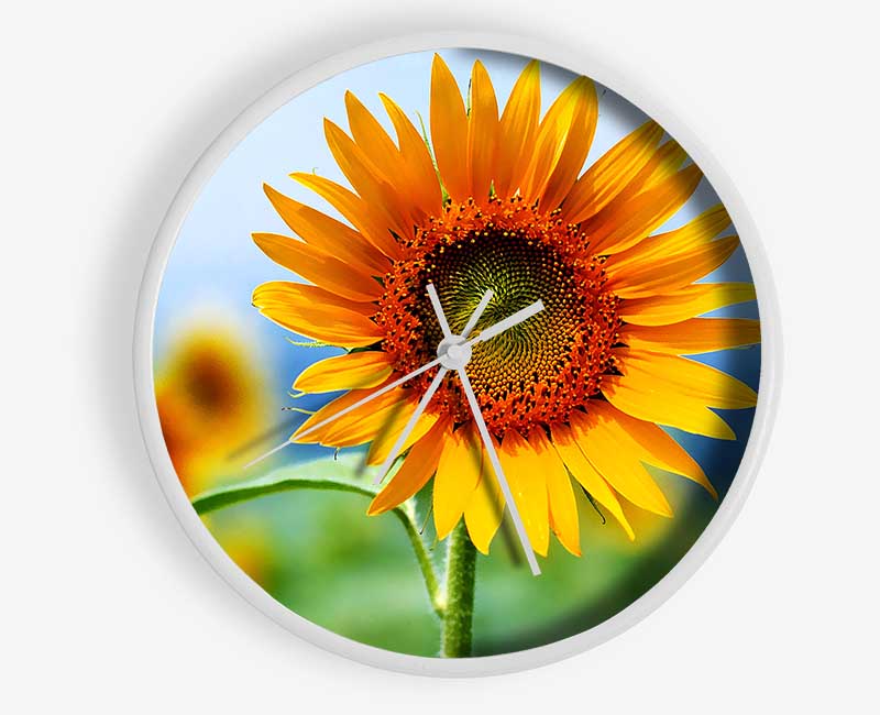 Morning Sunflower Clock - Wallart-Direct UK