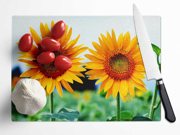 Twin Sunflowers Glass Chopping Board