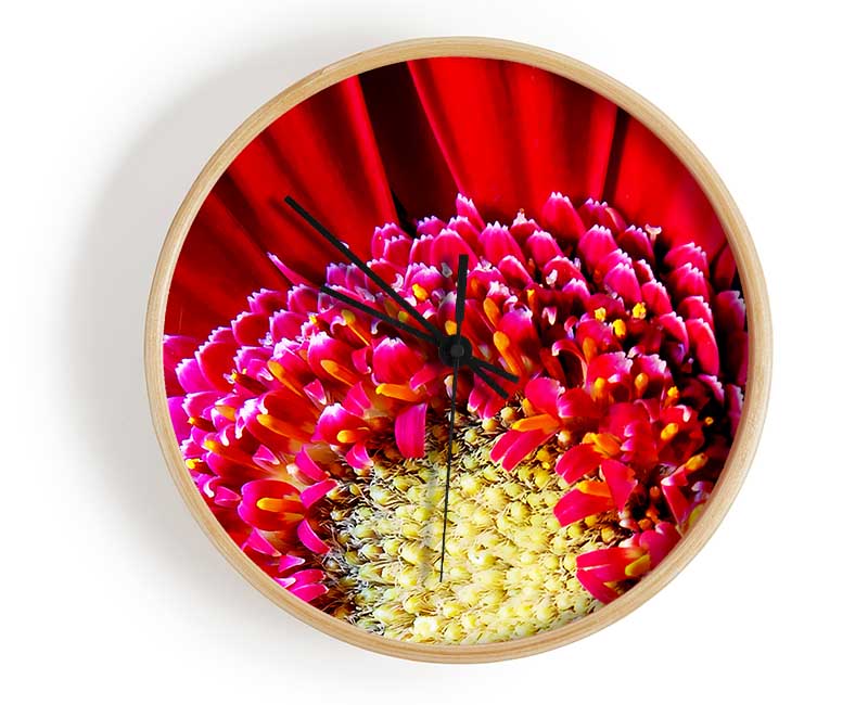 Red Gerbera Face Close-Up Clock - Wallart-Direct UK