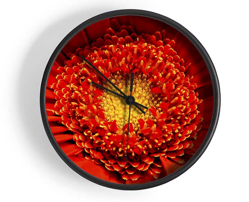 The Centre Of A Gerbera Clock - Wallart-Direct UK