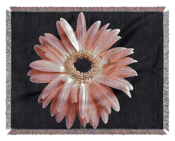 Pink Daisy On Black Woven Blanket