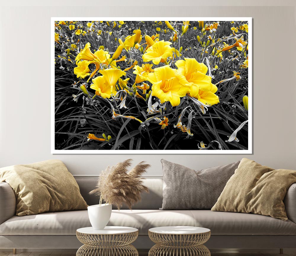 Yellow Trumpet Flowers On B N W Print Poster Wall Art