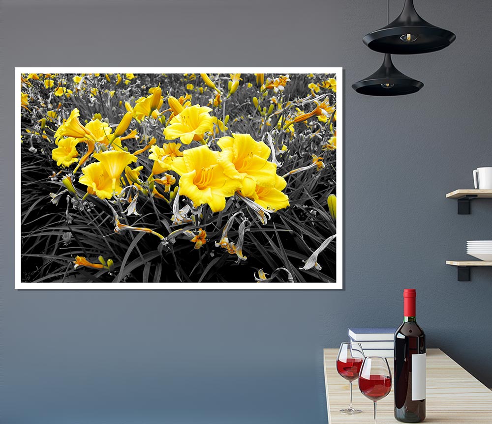 Yellow Trumpet Flowers On B N W Print Poster Wall Art