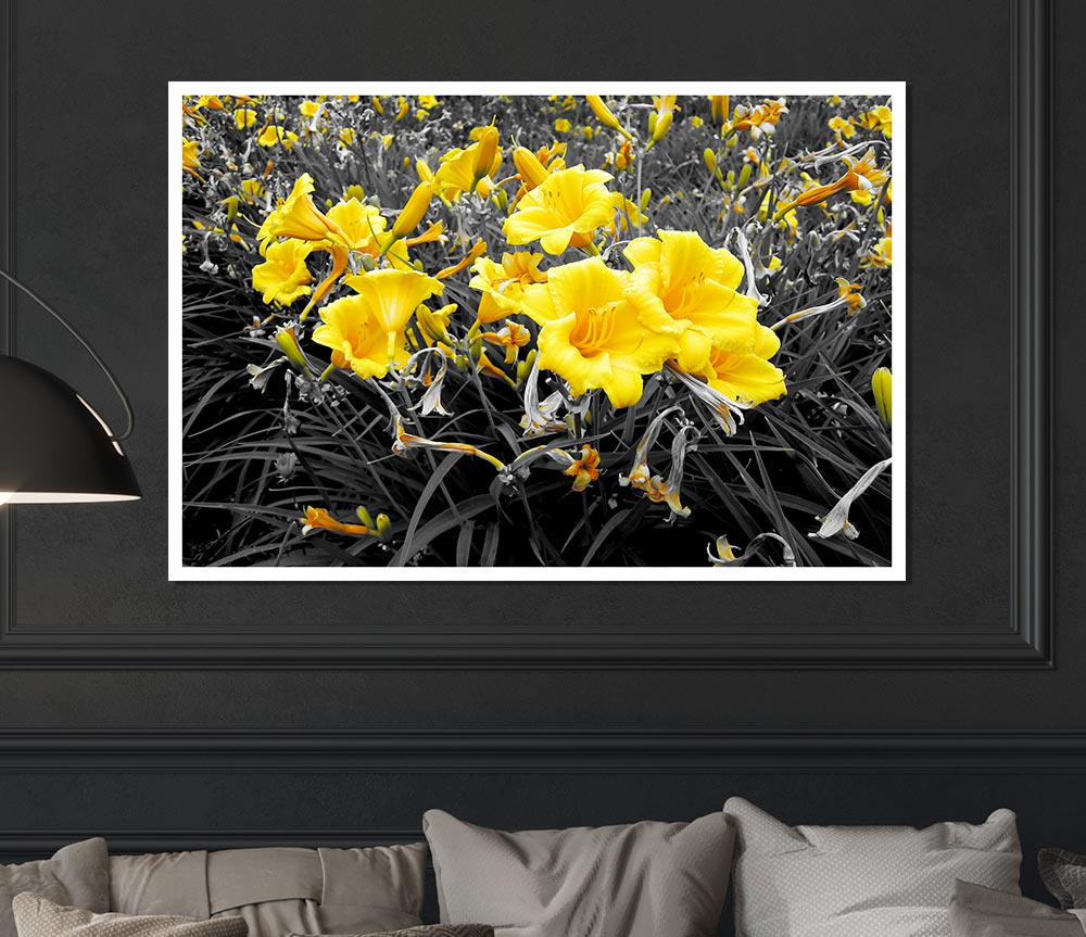 Yellow Trumpet Flowers On B N W Print Poster Wall Art