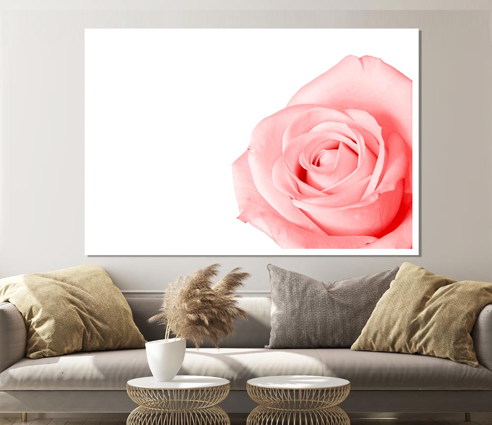 Baby Pink Rose Print Poster Wall Art