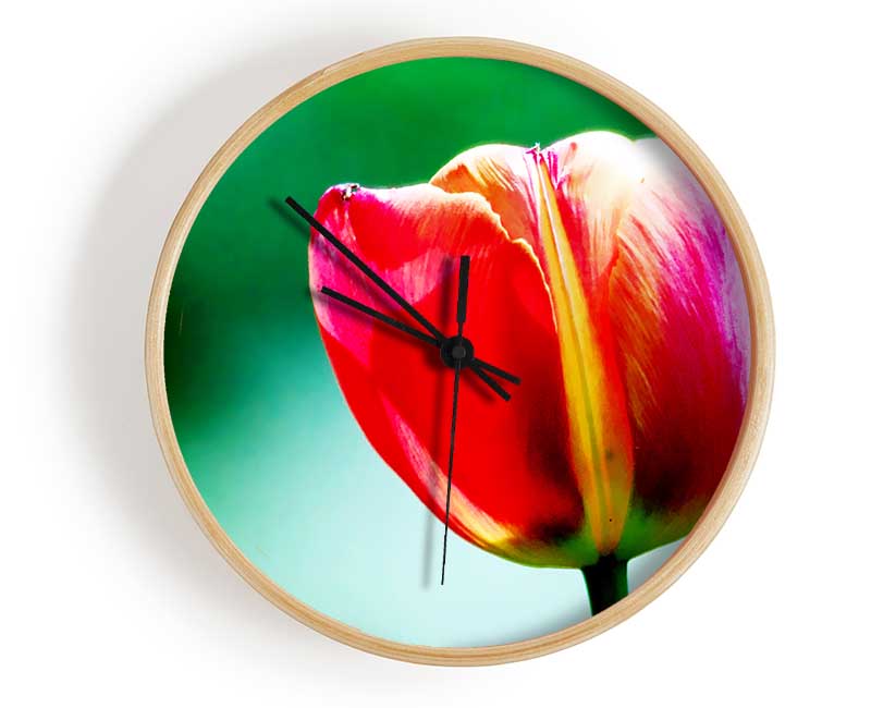 Single Pink Tulip Clock - Wallart-Direct UK