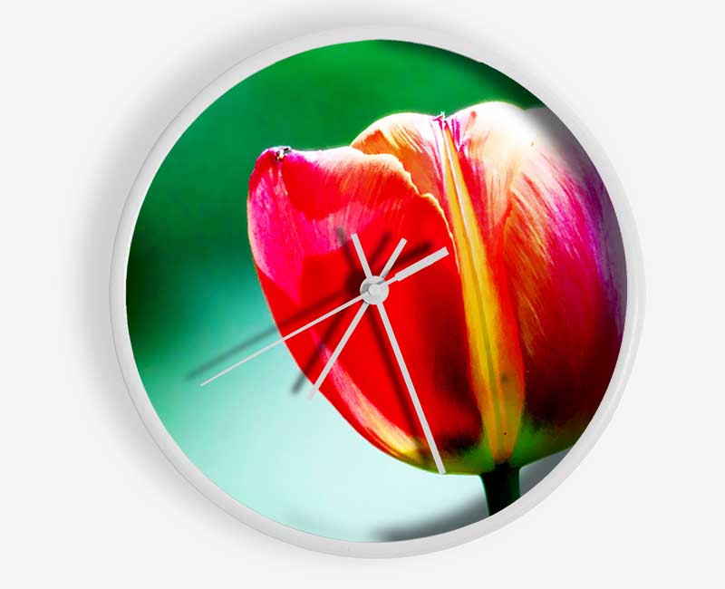 Single Pink Tulip Clock - Wallart-Direct UK