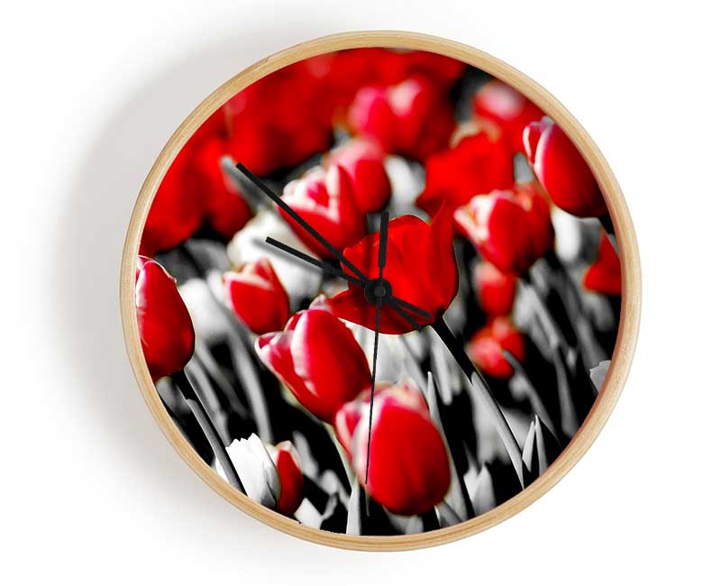 Red Tulips On B n W Clock - Wallart-Direct UK