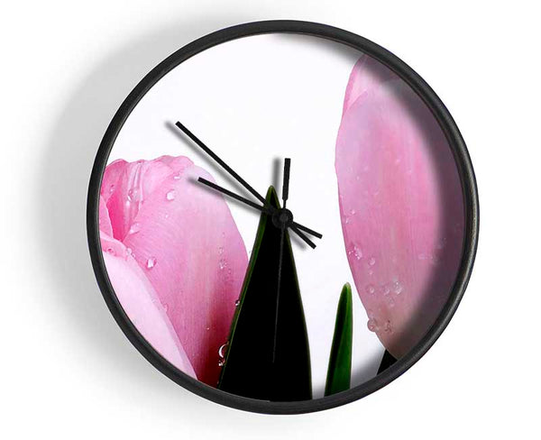 Baby Pink Tulips Clock - Wallart-Direct UK