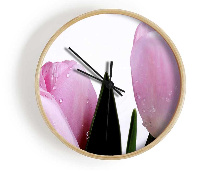 Baby Pink Tulips Clock - Wallart-Direct UK