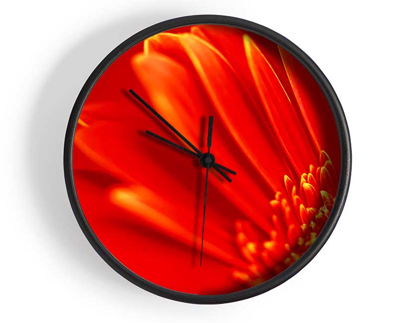 Orange On Orange Gerbera Petals Clock - Wallart-Direct UK