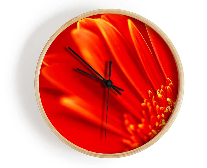 Orange On Orange Gerbera Petals Clock - Wallart-Direct UK