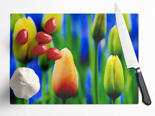 Yellow Tulips In A Blue Field Glass Chopping Board