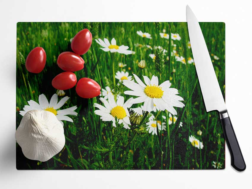 White Daisy Field Amongst The Grass Glass Chopping Board