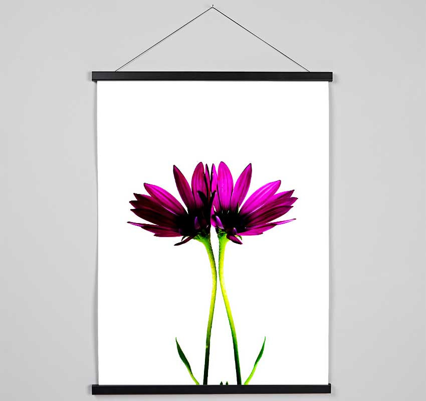 Pink Reflections Hanging Poster - Wallart-Direct UK