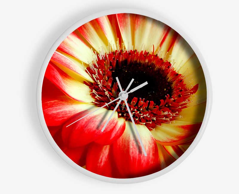 Red Daisy Petals Clock - Wallart-Direct UK