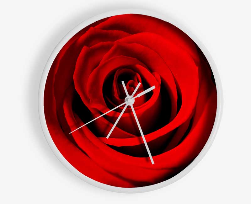 Close-Up Of The Soft Red Rose Clock - Wallart-Direct UK