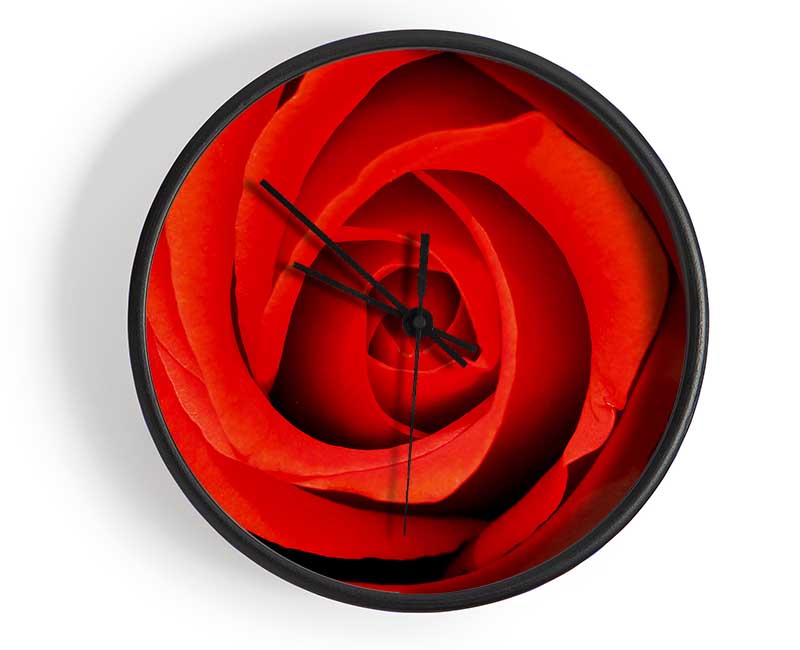 Close-Up Of A Beautiful Rose Clock - Wallart-Direct UK