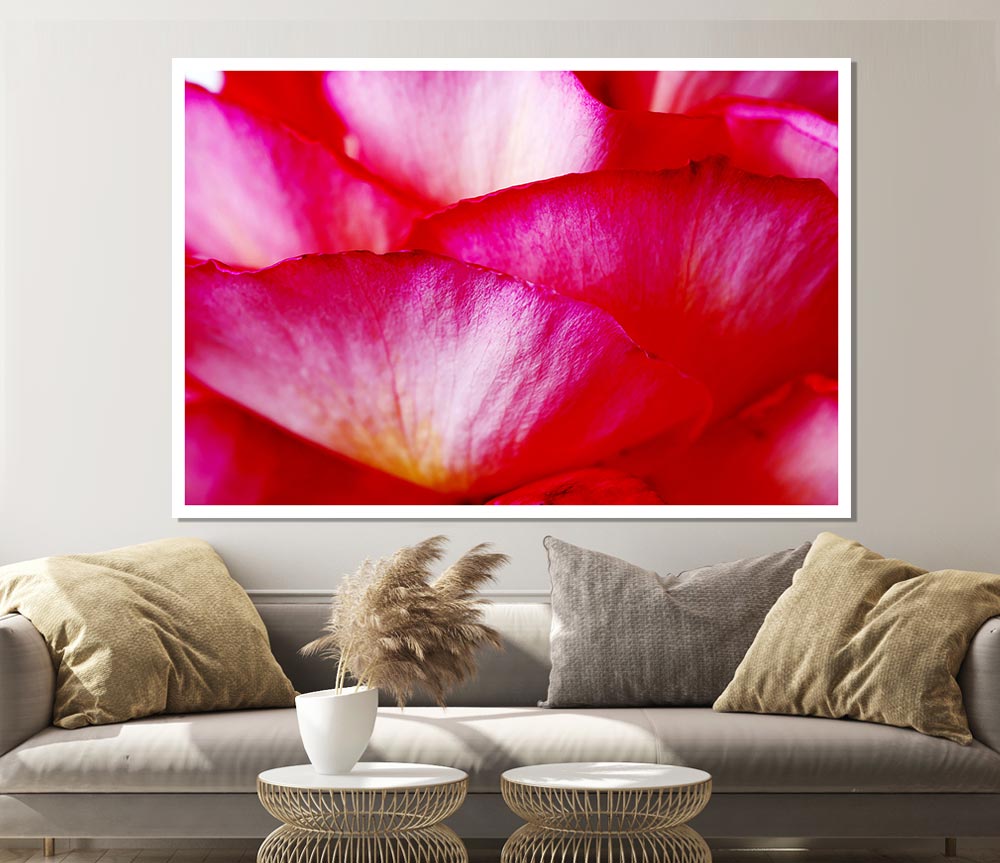 The Waves Of A Pink Flower Print Poster Wall Art