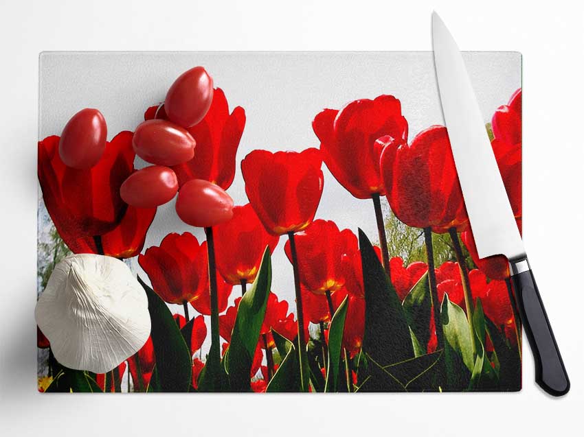 Red Tulip Galore Glass Chopping Board