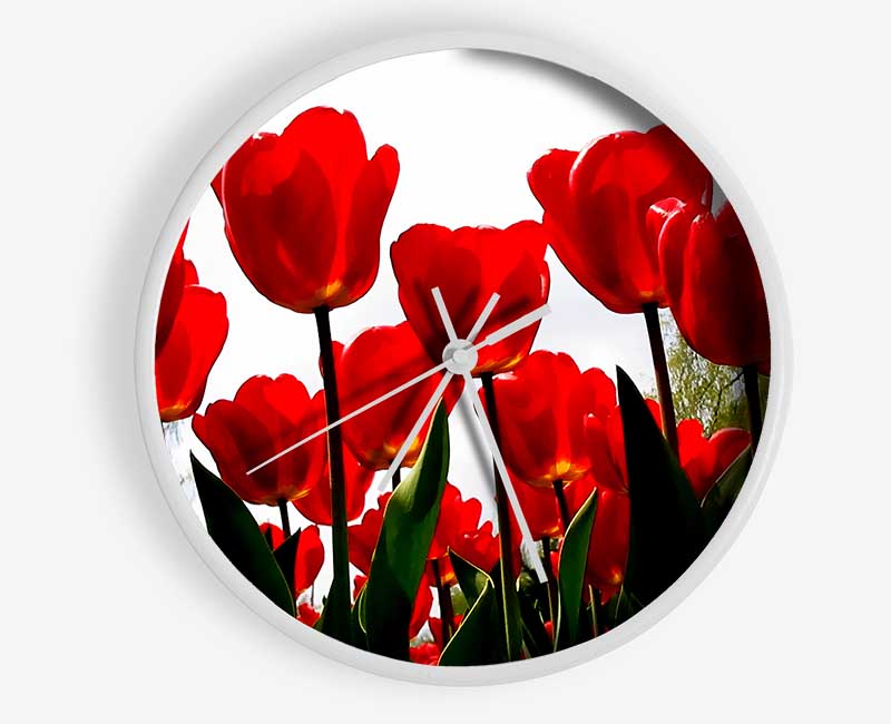 Red Tulip Galore Clock - Wallart-Direct UK