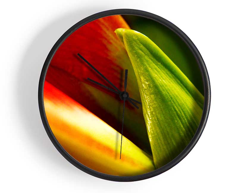 Colours Of Nature Clock - Wallart-Direct UK