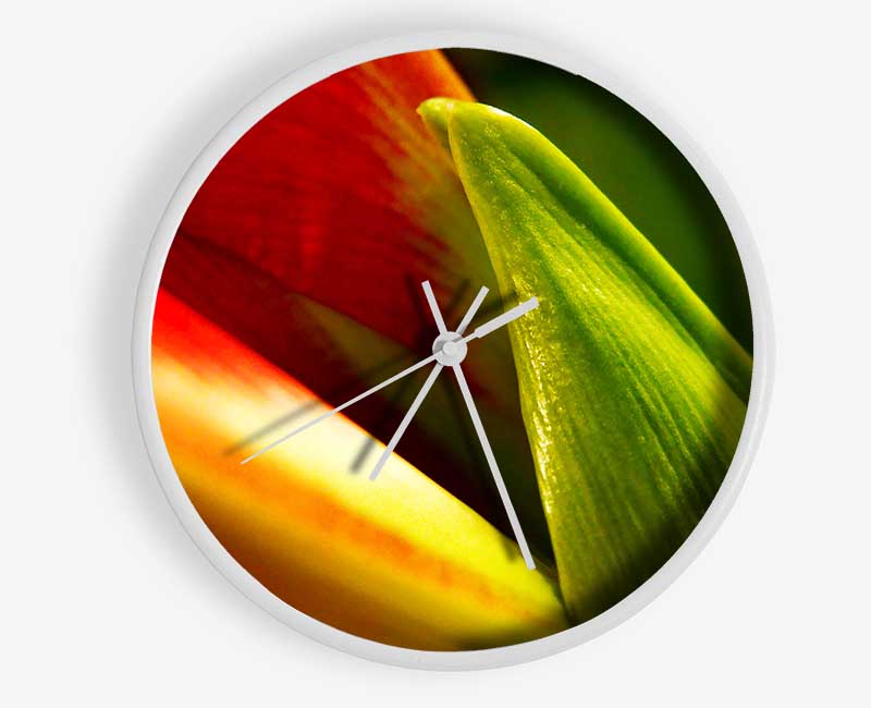 Colours Of Nature Clock - Wallart-Direct UK