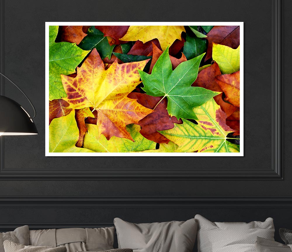 Autumn Leaves Fallen Print Poster Wall Art