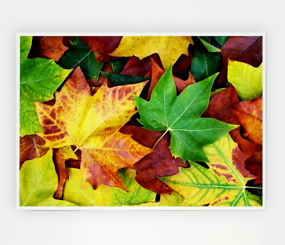 Autumn Leaves Fallen Print Poster Wall Art