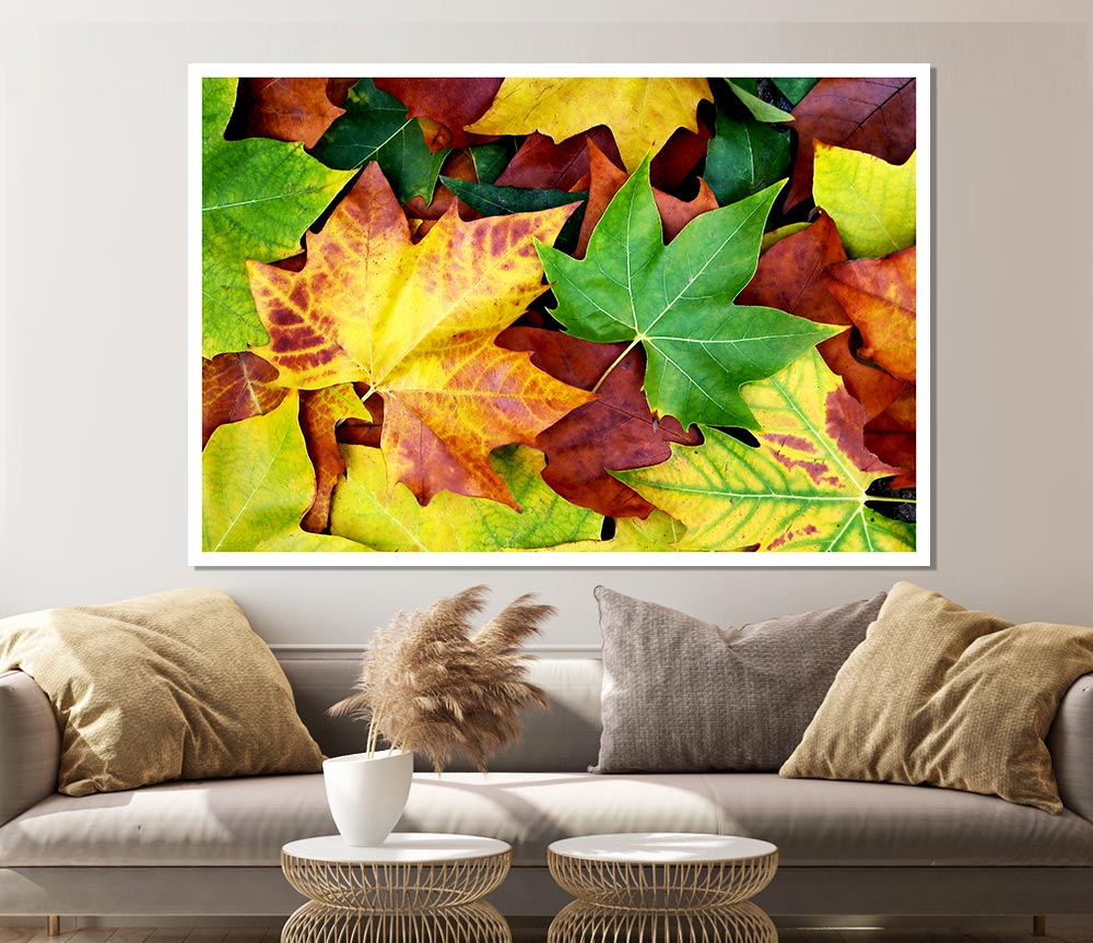 Autumn Leaves Fallen Print Poster Wall Art