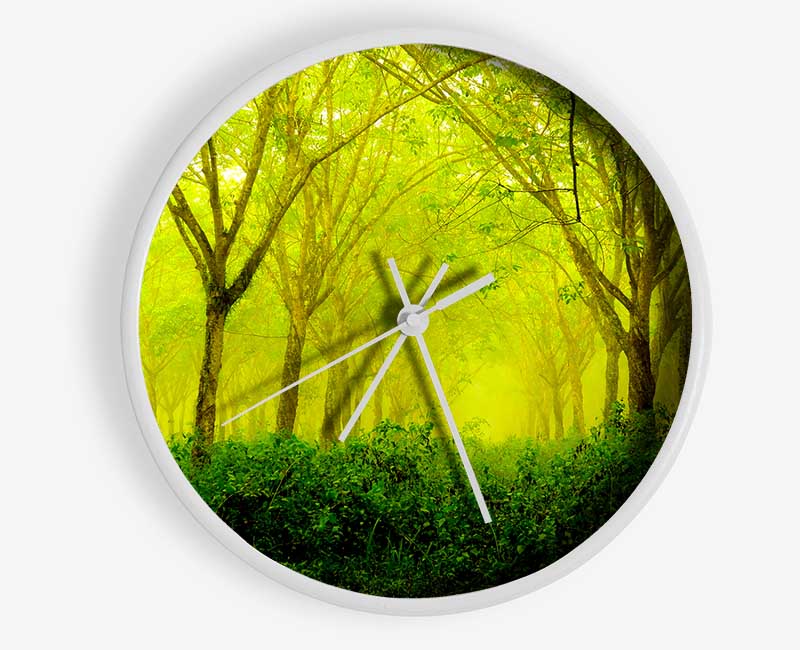 Stunning Green Forest Clock - Wallart-Direct UK