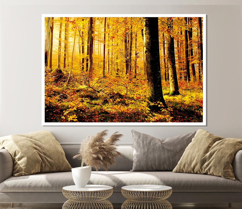 German Forest In Autumn Print Poster Wall Art