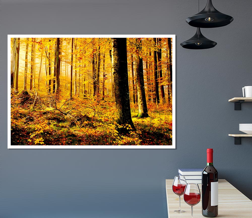 German Forest In Autumn Print Poster Wall Art