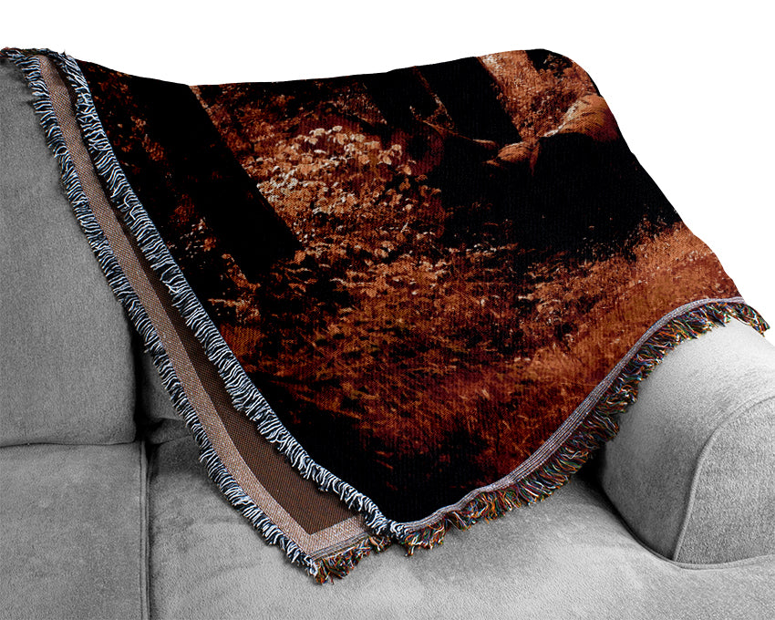 Forest Autumn Path Woven Blanket