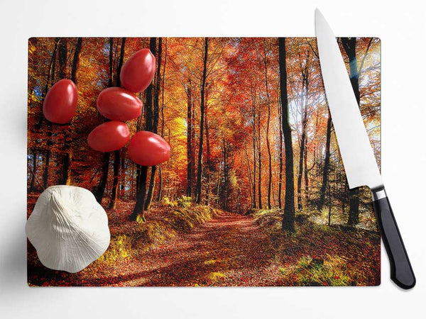 Fall Forest Path Glass Chopping Board