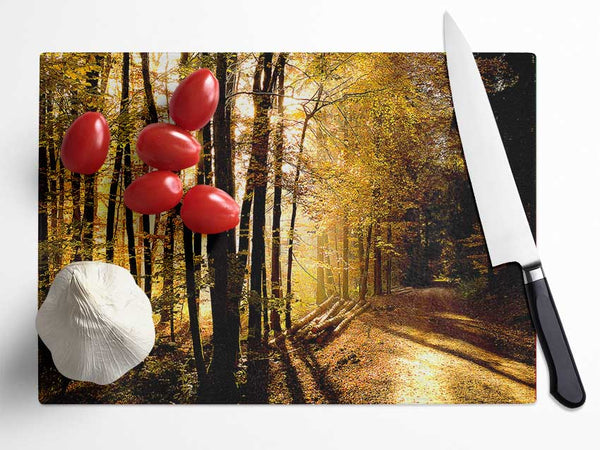 Beautiful Forest Road Autumn Glass Chopping Board