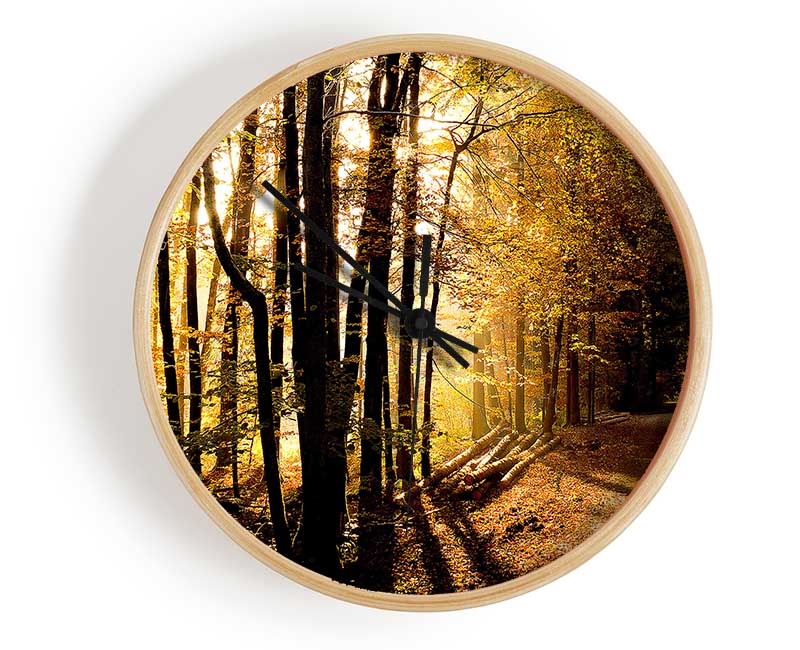 Beautiful Forest Road Autumn Clock - Wallart-Direct UK