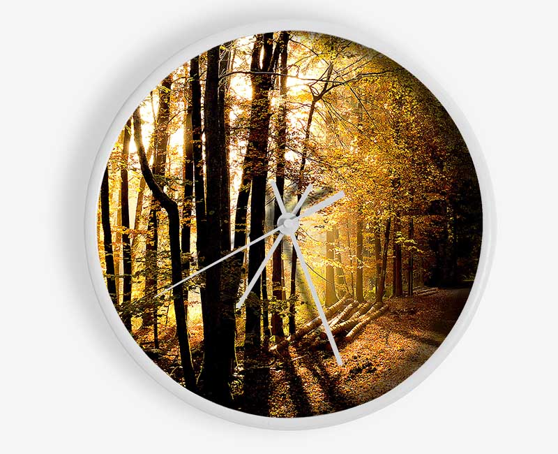 Beautiful Forest Road Autumn Clock - Wallart-Direct UK