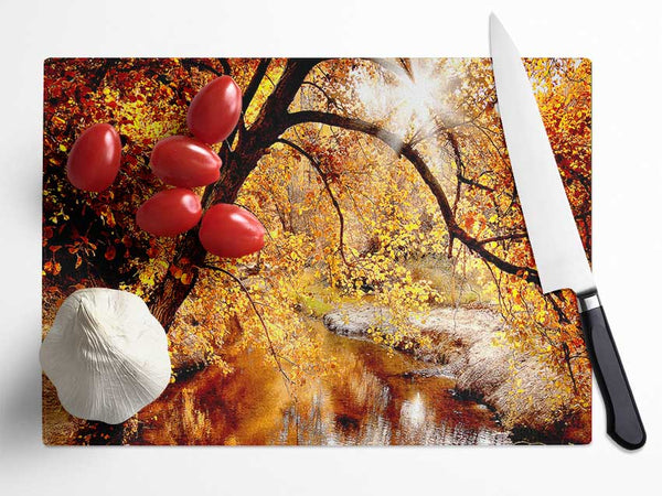 Creek In The Autumn Forest Glass Chopping Board