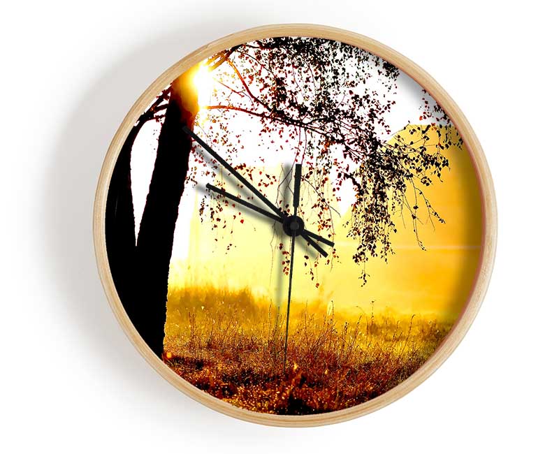 Sunlight Through The Tree Clock - Wallart-Direct UK