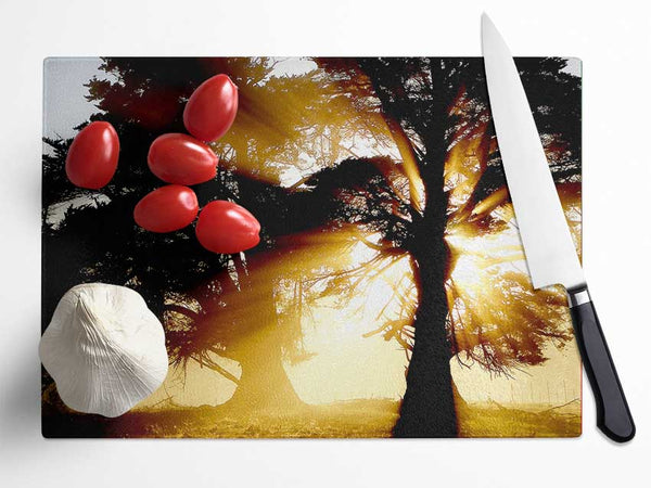 Trees With Sunlight Glass Chopping Board