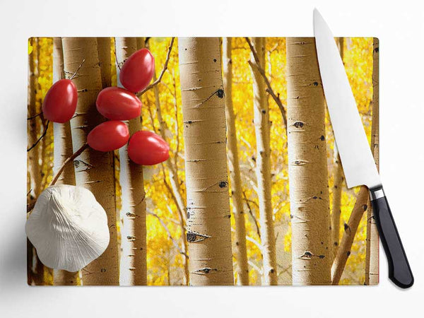 Birch Trees Glass Chopping Board