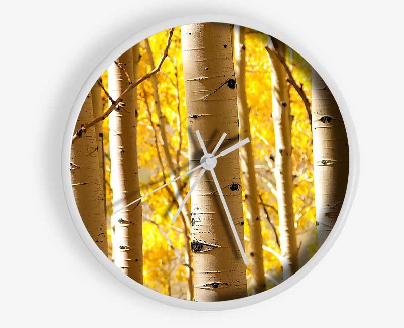 Birch Trees Clock - Wallart-Direct UK