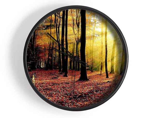 Sunlight Through The Trees In The Forest Clock - Wallart-Direct UK