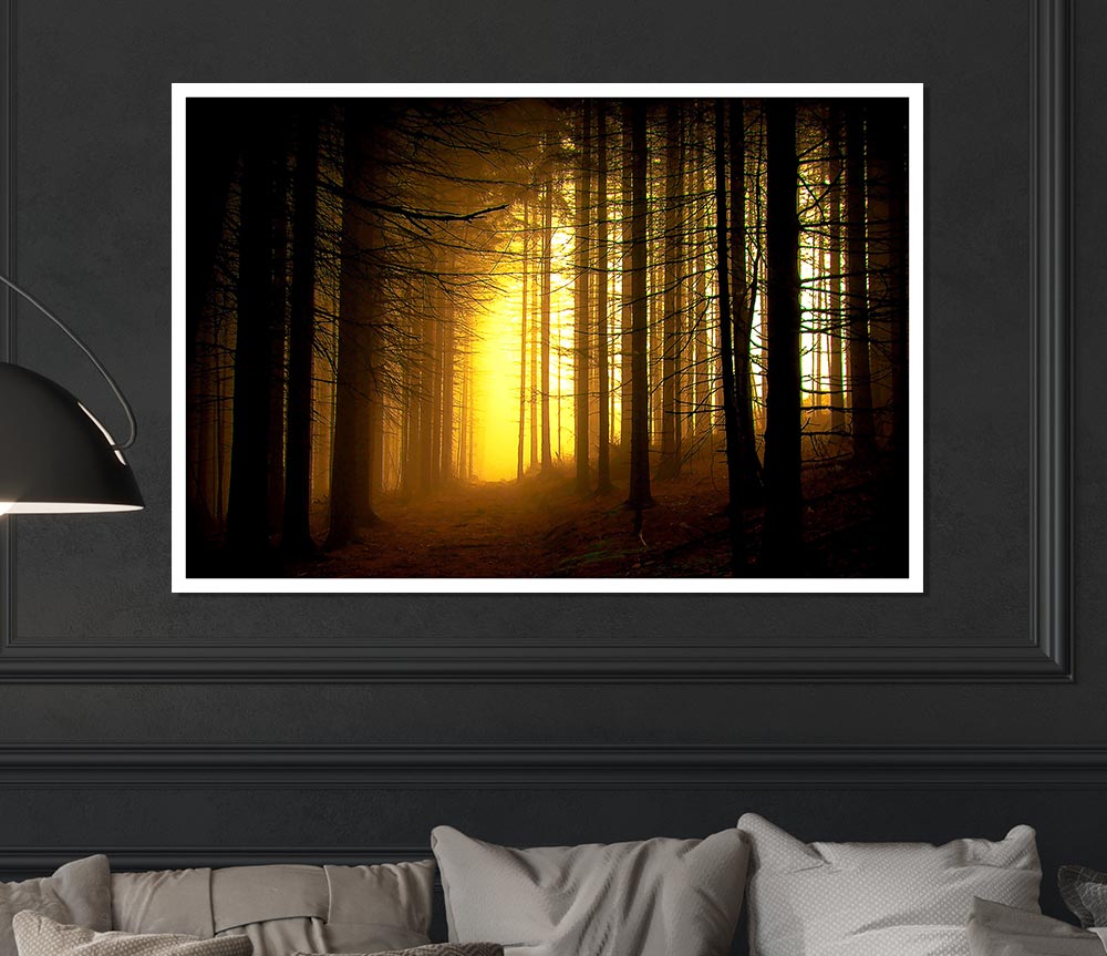 Golden Forest Light Print Poster Wall Art